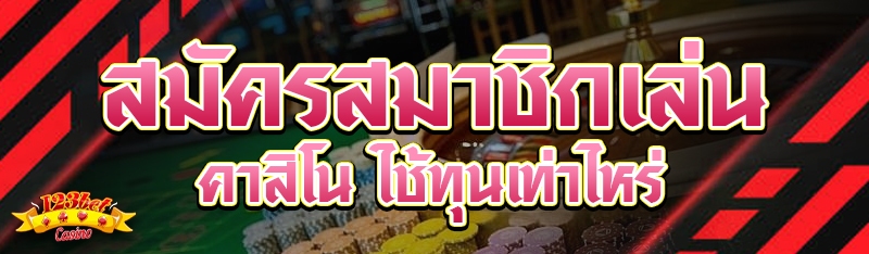 สมัครสมาชิกเล่นคาสิโน ใช้ทุนเท