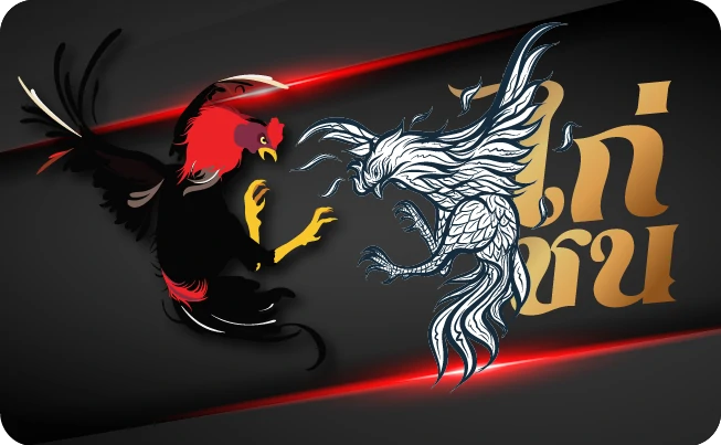 ไก่ชนออนไลน์ 123bet